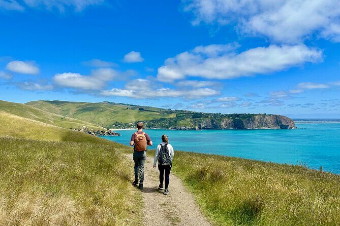 Heartbeat of the City: Private Christchurch Walking Tour - Frequently Asked Questions