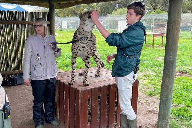 Helicopter, Boat Cruise, Big 5 Safari and Winelands Scenic Experience in 4 Days. - An In-Depth Look at the 4-Day Adventure