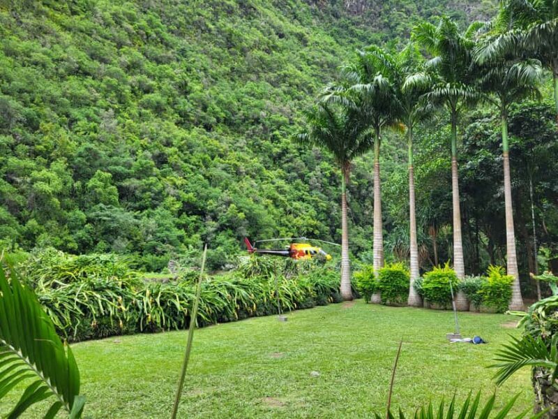 Helicopter flight over the waterfalls and basins of Reunion Island with lunch - The Mountain Lodge and Creole Lunch: An Authentic Feast in Nature