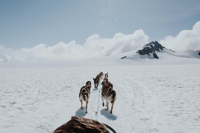 Helicopter Glacier & Dog Sledding Adventure Tour - The Itinerary and What You Can Expect
