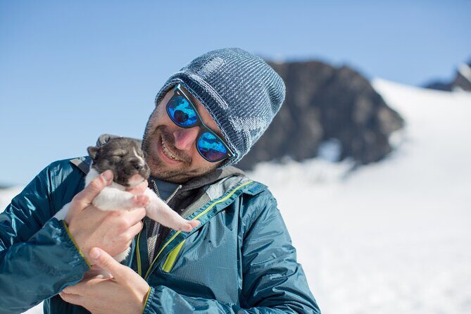 Helicopter Glacier Dogsled Tour + Lower Glacier Landing - ANCHORAGE AREA - Introducing the Experience: An Aerial and Ground Adventure in Alaska