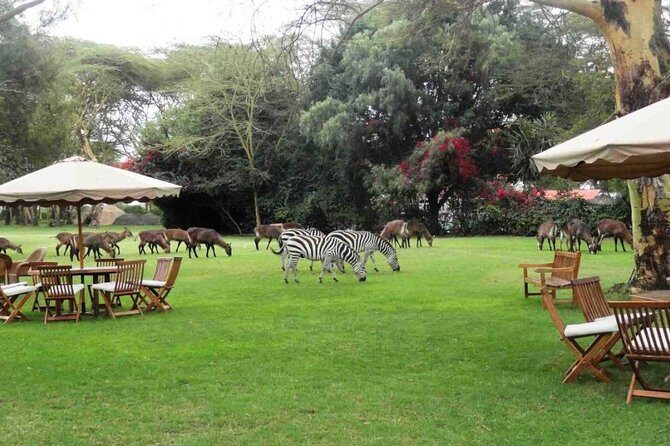Hells Gate Excursion in Naivasha - The Sum Up: Who Is This Tour For?