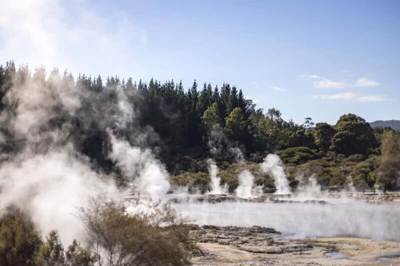 HELL'S GATE Mud Spa, Rotorua - Group Day Tour Ex Auckland - Key Points