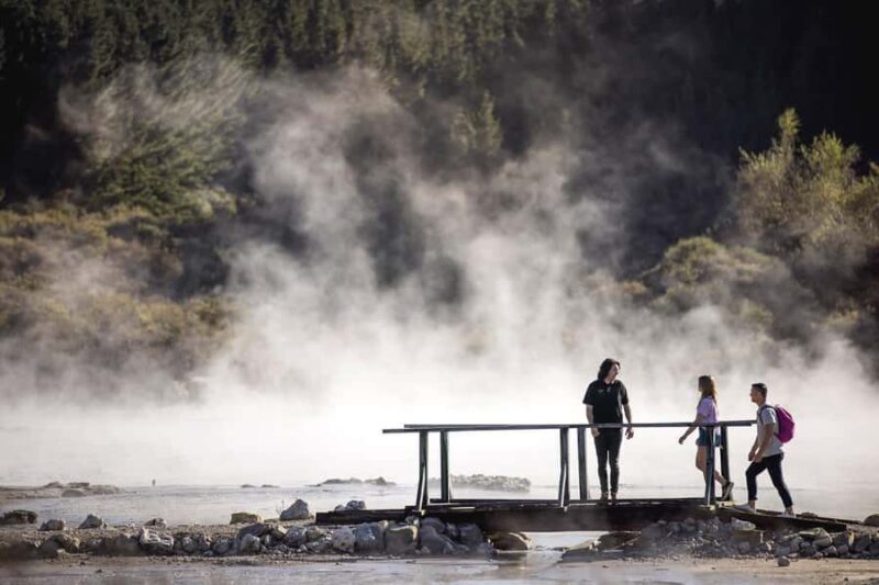 HELL'S GATE Mud Spa, Rotorua - Group Day Tour Ex Auckland - Relaxing by the Waikato River