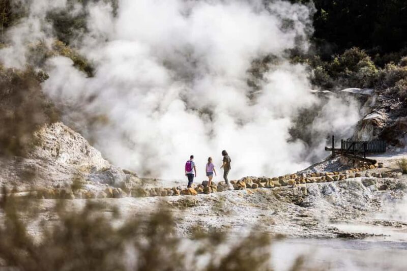 HELL'S GATE Mud Spa, Rotorua - Group Day Tour Ex Auckland - The Value of This Tour