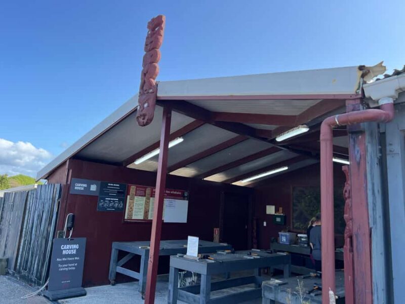HELL'S GATE Mud Spa, Rotorua - Group Day Tour Ex Auckland - The Sum Up