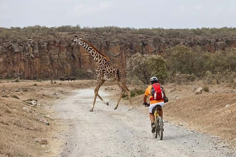 Hell's Gate National Park & Lake Naivasha Boat Ride Day Tour - Key Points