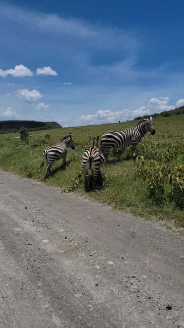 Hells Gate National Park & Lake Naivasha Boat Ride - Exploring the Wild Side of Kenya: Hells Gate National Park & Lake Naivasha Boat Ride