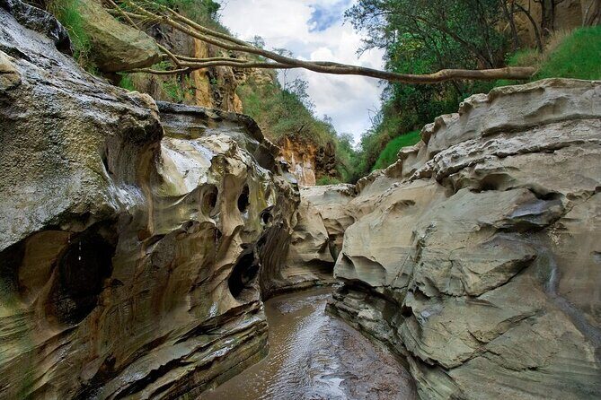 Hells Gate National Park & Lake Naivasha Day Trip from Nairobi - Overview of the Tour Experience