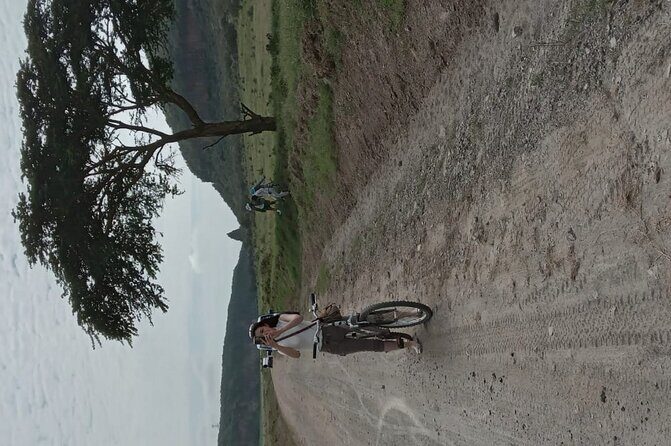 Hells Gate National Park & Lake Naivasha Day Trip from Nairobi - The Sum Up: Who Should Consider This Tour?
