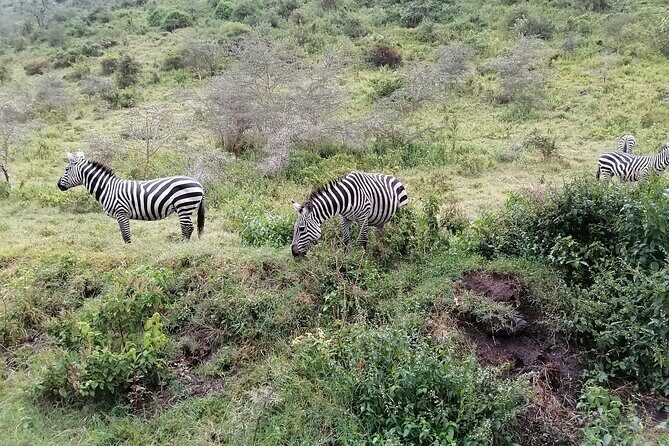 Hell's Gate National Park Private Bike Tour from Nairobi - FAQs