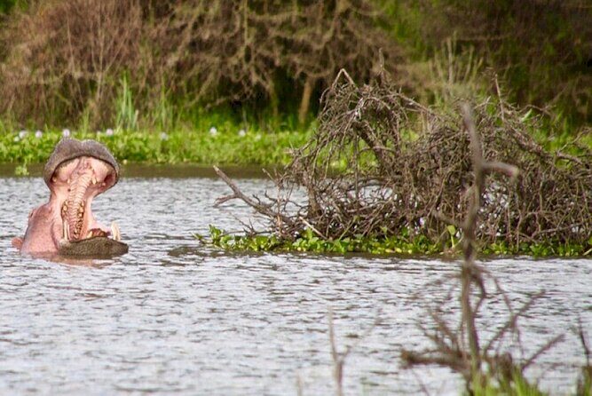 Hell's Gate National Park Private Bike Tour from Nairobi - Who Will Love This Tour?