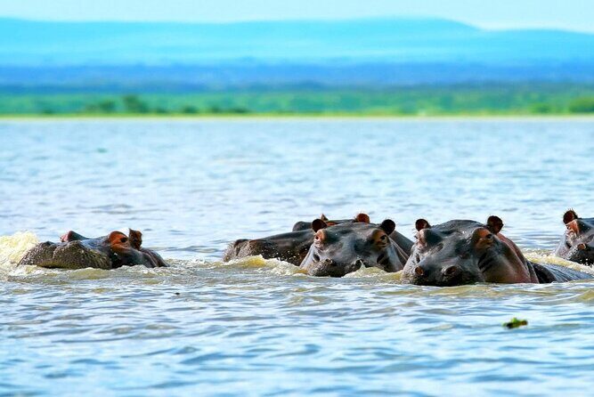 Hell's Gate National Park Private Bike Tour from Nairobi - FAQ