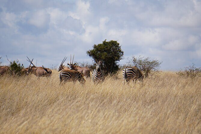 Hells Gate with Hiking Biking Climbing and Camping in Kenya - Insights from Travelers’ Feedback
