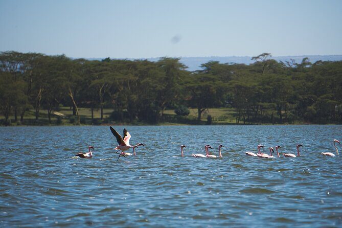 Hells Gate with Hiking Biking Climbing and Camping in Kenya - FAQ