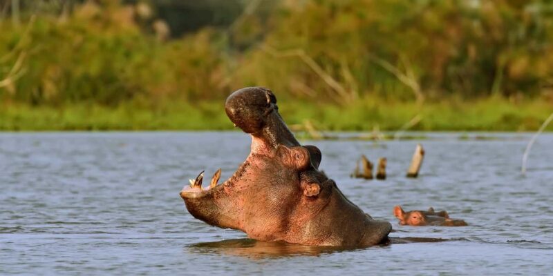 Hellsgate and Lake Naivasha Day Trip from Nairobi - FAQ