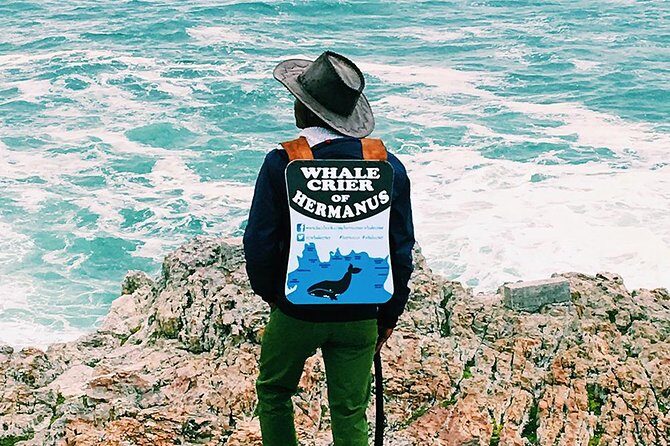 Hemel en Aarde Whale Coast + Wine Day Tour with Private Transfer - Experience Overview: A Closer Look at the Hemel en Aarde Whale Coast Tour