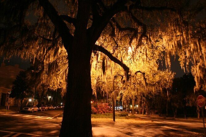 Hemingway Tour - Why the Nighttime Setting Matters