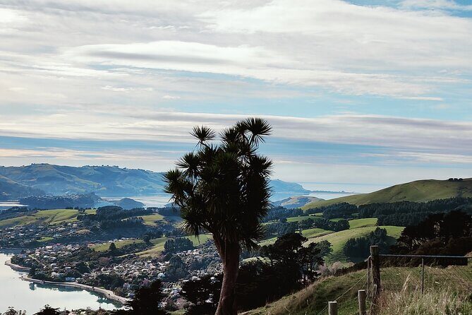 Heritage City and Larnach Castle Van tour with Historian Guide - Final Thoughts: What Makes This Tour Stand Out?