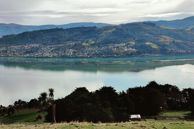 Heritage City and Larnach Castle Van tour with Historian Guide - The Sum Up