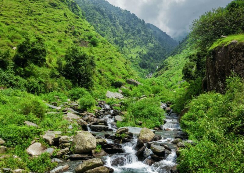 Heritage & Cultural Trails of McLeodGanj Guided Walking Tour - The Real Experience on the Ground