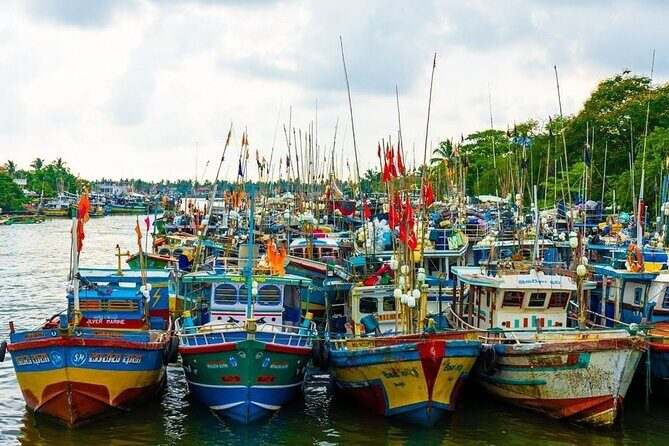 Heritage & Cultural Walk Around Negombo - What Travelers Are Saying