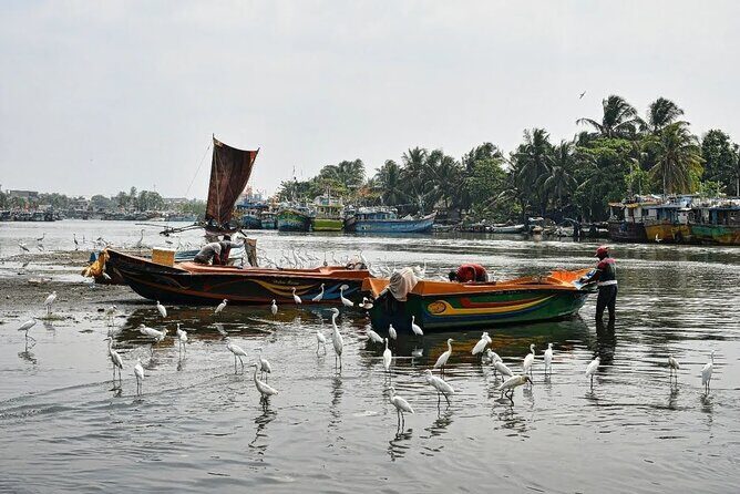 Heritage & Cultural Walk Around Negombo - Who Should Consider This Tour?