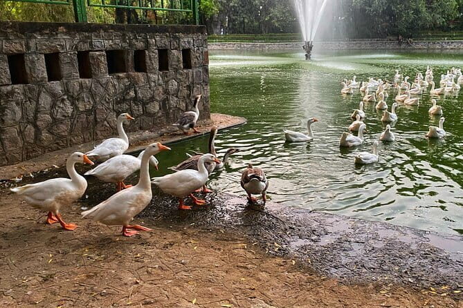 Heritage Delhi Private Walking & Shopping Tour - Exploring the Itinerary in Detail