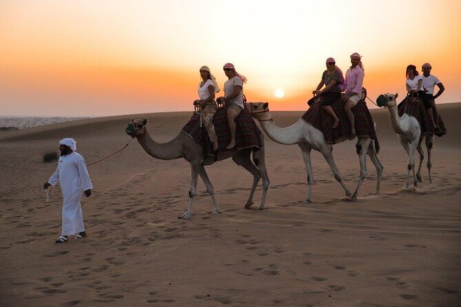 Heritage Desert Safari Private and Sharing - The Itinerary: What to Expect from Start to Finish
