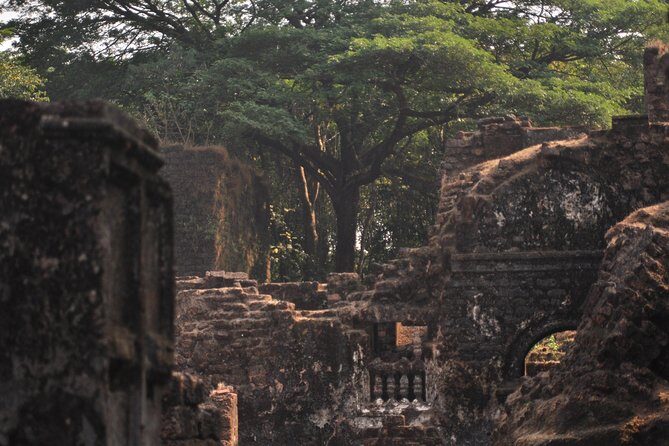 Heritage Tour to Goa Forts and churches - What the Reviews Say