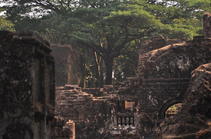 Heritage Tour to Goa Forts and churches - The Practicalities: What You Need to Know