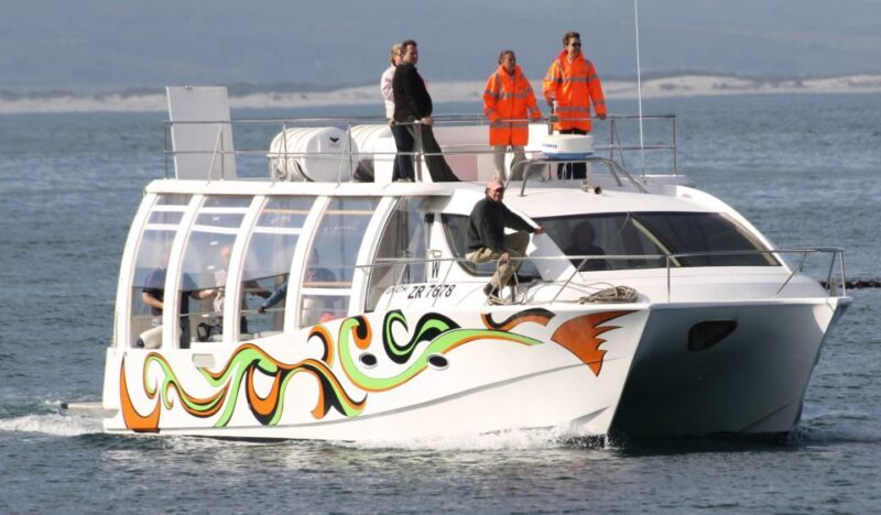 Hermanus: Boat Based Whale Watching Experience - Final Thoughts