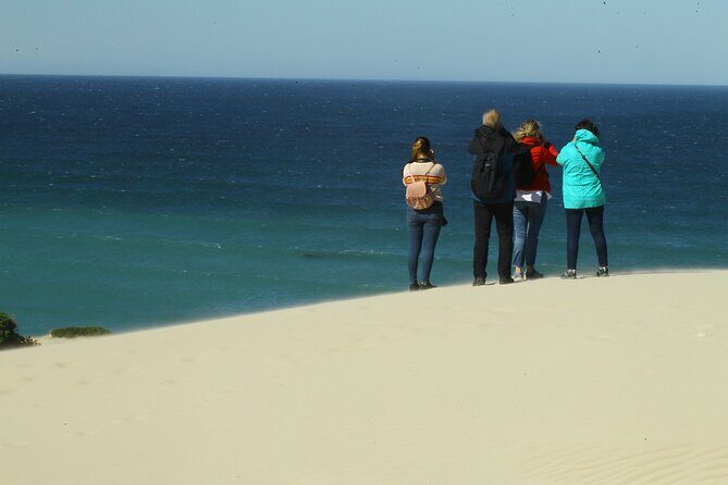 Hermanus Land based Whale Tour with Dave de Beer - FAQ