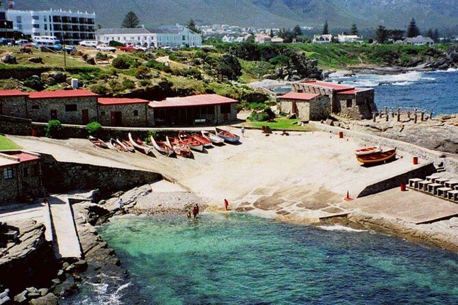 Hermanus Whale Coast Wine Tour (Cape To Grape Wine Tours) - Detailed Review of the Tour Components