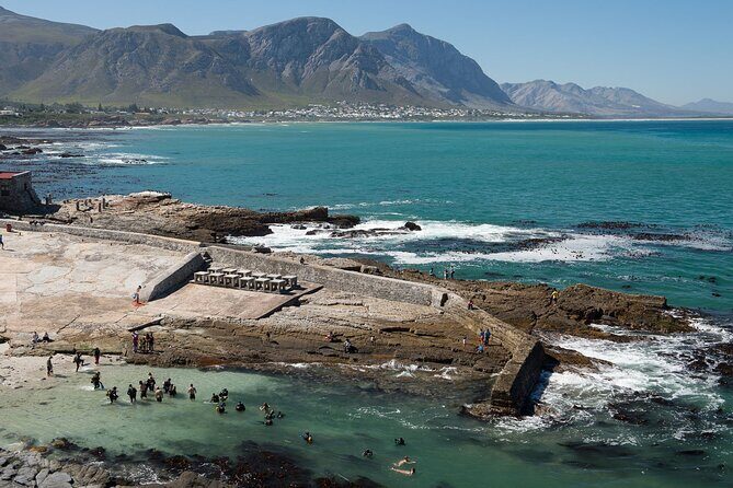 Hermanus Whale Watching and Stony Point Penguins Full Day Tour - A Closer Look at the Itinerary and Experience