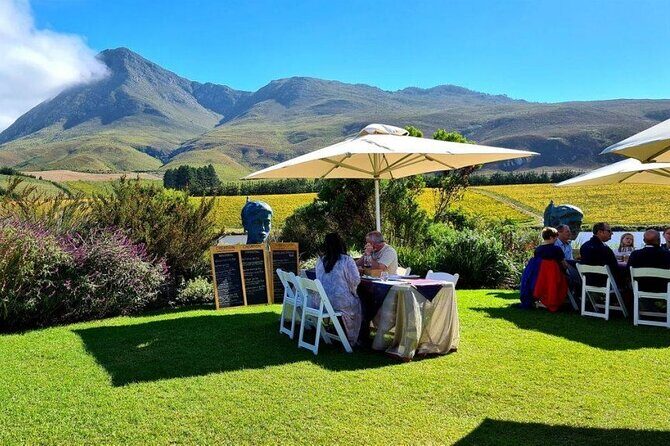 Hermanus Whale Watching and Wine Tasting Private Tour - FAQs
