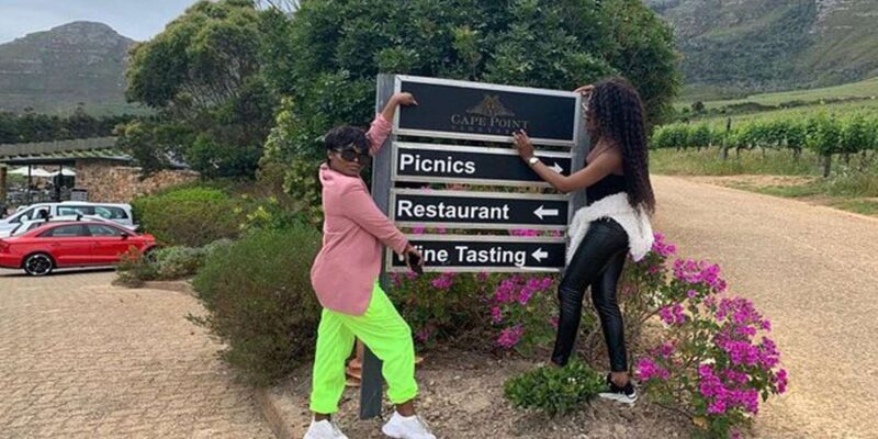 Hermanus Whale Watching and Winelands Private Full-day Tour - Key Points