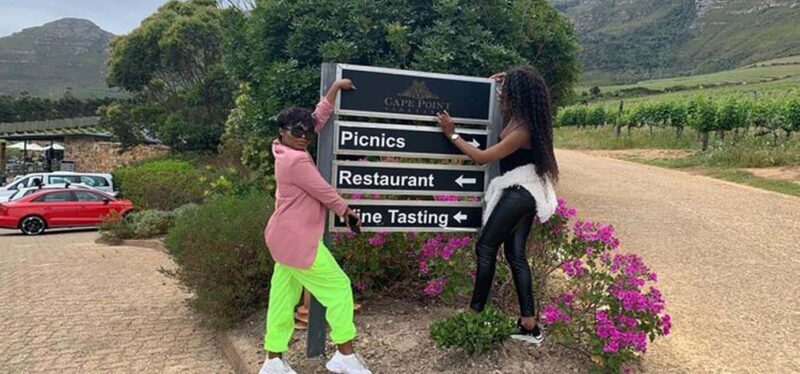 Hermanus Whale Watching and Winelands Private Full-day Tour - The Sum Up: Is It Right for You?