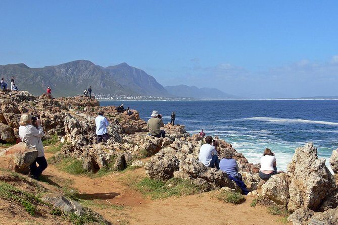 Hermanus Whale Watching Day Trip from Cape Town - Key Points