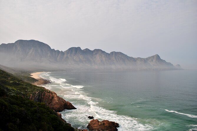Hermanus Whales and Wine Full Day Private Tour - Final Thoughts: Who Will Love This Tour?