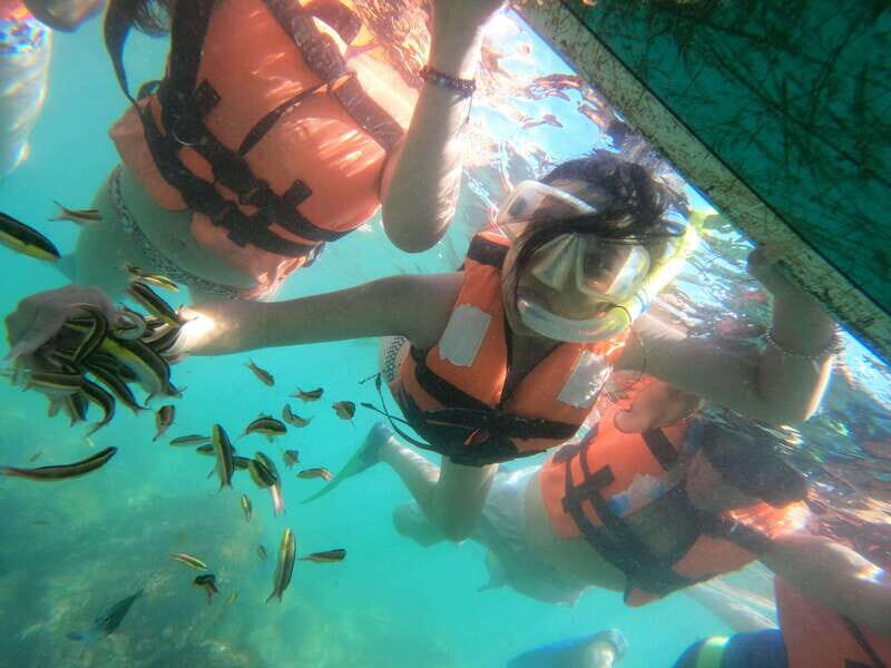 Hermosa Isla de ixtapa - The Highlights in Detail