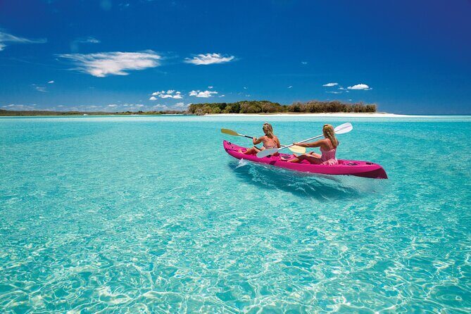 Hervey Bay: Best Value Half Day Whale Watching Cruise - The Wildlife and Scenery