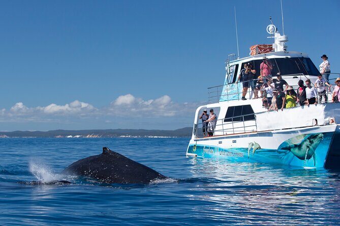 Hervey Bay Champagne Sunset Sail - Who Should Book This?
