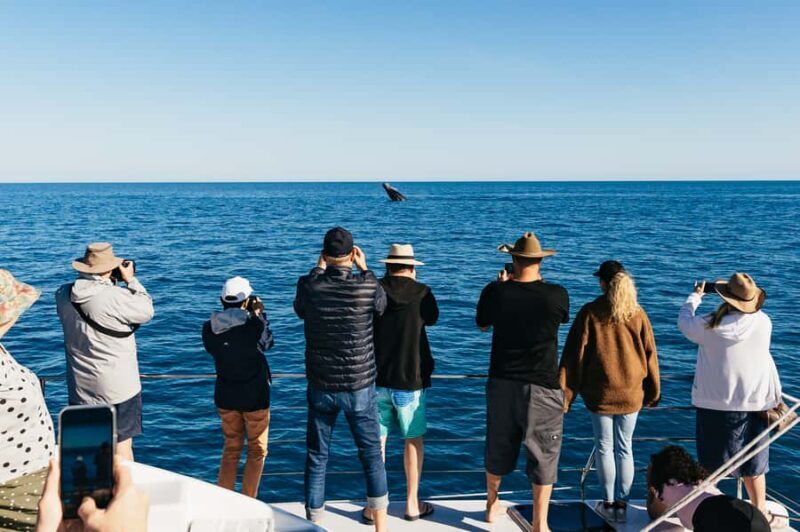 Hervey Bay: Exclusive Whale Watch Encounter - FAQ