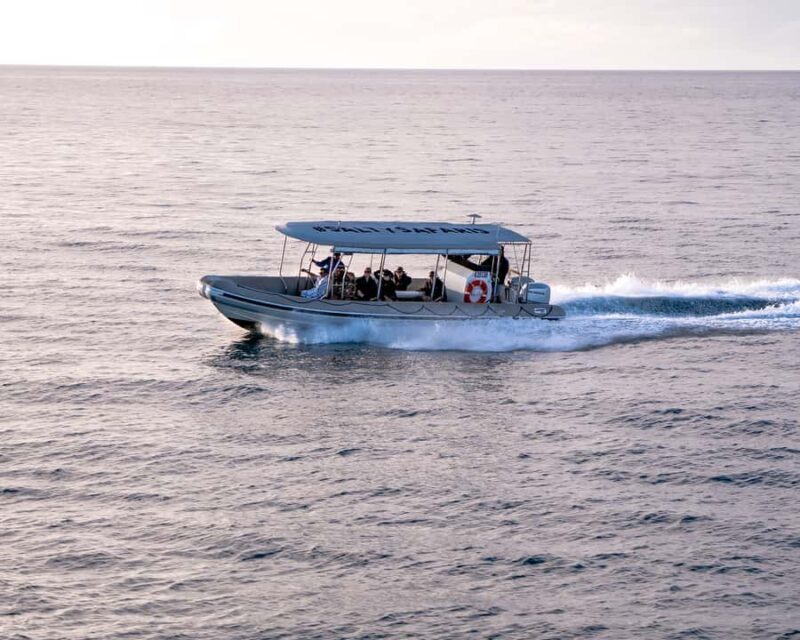 Hervey Bay: Half-Day Whale and Island Adventure by Boat - Practical Details and Considerations