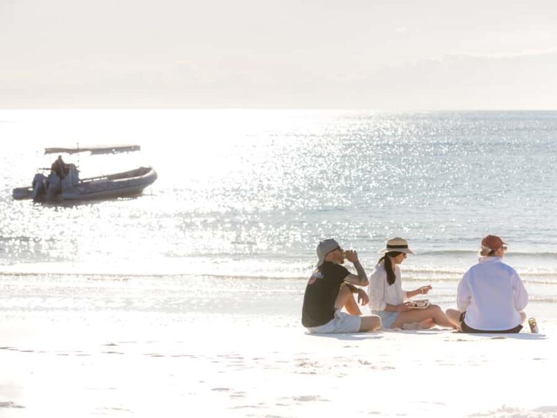 Hervey Bay: Half-Day Whale and Island Adventure by Boat - Final Thoughts: Who Is This Tour Best For?