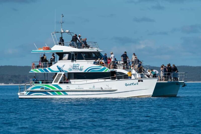 Hervey Bay: Humpback Whale-Watching Half-Day Cruise - Hervey Bay: Humpback Whale-Watching Half-Day Cruise — A Practical, Authentic Adventure