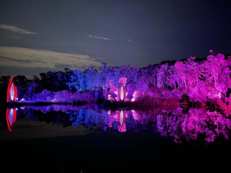 Hervey Bay: K'Gari 5 Day Ultimate Adventure + Illumina - Introduction