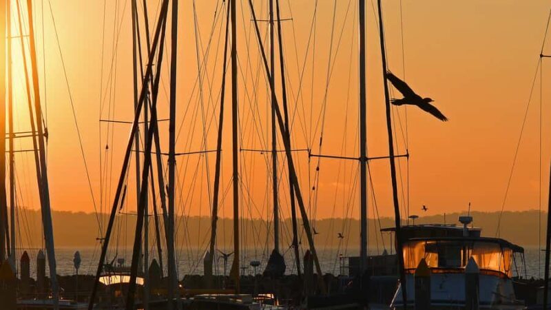 Hervey Bay: Relaxing Sunset Cruise with Champagne and Prawns - FAQ