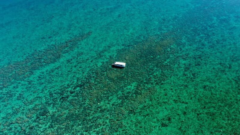 Hervey Bay: Turtle Discovery Eco Tour - An In-Depth Look at the Hervey Bay Turtle Discovery Eco Tour